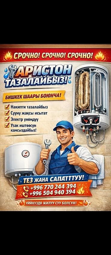 Профессиональная чистка и обслуживание водонагревателей Ariston