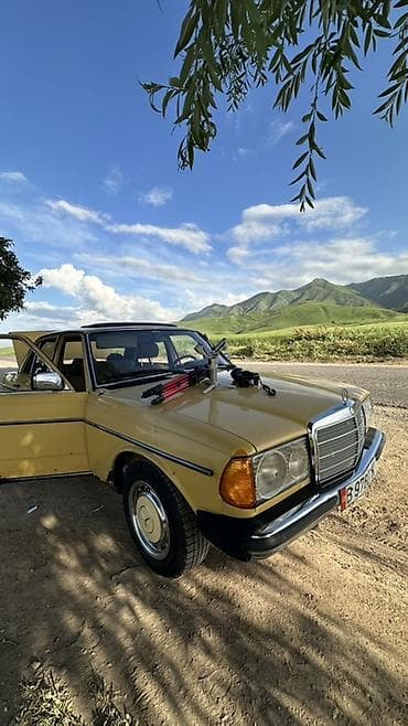 Mercedes-Benz W123: 1983 г., 2.2 л, Механика, Дизель, Седан at lalafo.kg Mercedes-Benz W123: 1983 г., 2.2 л, Механика, Дизель, Седан