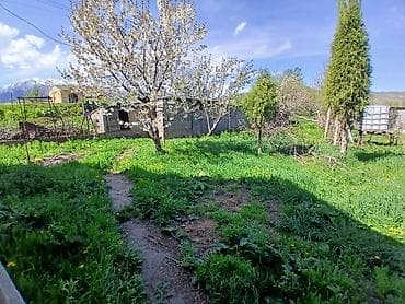 солнечный рай: Продаётся участок с небольшим одноэтажным домом и хозпостройками в — 7