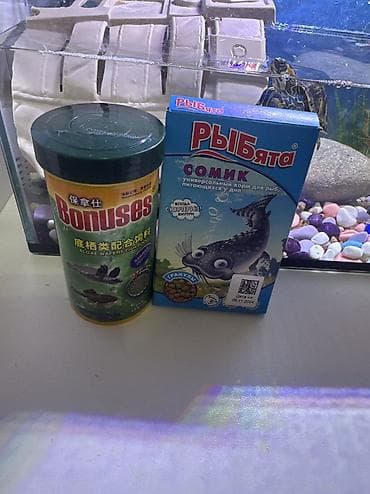 раки живые: 🔥 Продаётся ПОЛНЫЙ КОМПЛЕКТ для черепах 🔥 Продаю аквариум с двумя — 7