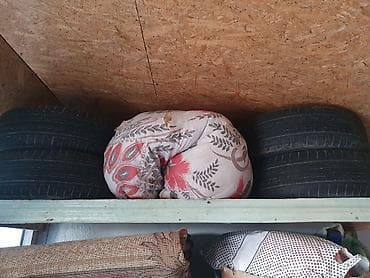 can bus: Шины 185 / 65 / R 14, Лето, Пара, Легковые, Centara — 6