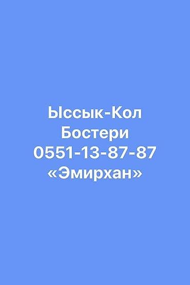 vip hostel: Гостевой дом на Иссык-Куле, Эмирхан, Бостери — 1