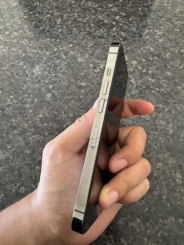 apple 13 pro: IPhone 13 Pro, 256 ГБ, Графит, 100 % — 2