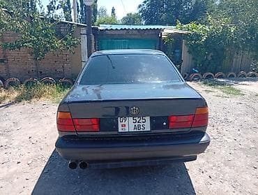 краска авто: BMW 5 series: 1995 г., Седан — 8