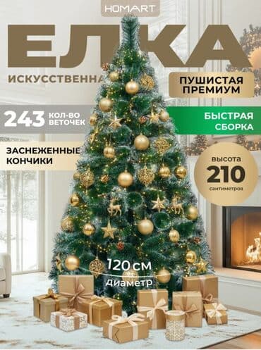 Ёлки Адрес: Ахматбека Суюмбаева 14 пересекает Тогтогула !С 10:00 до