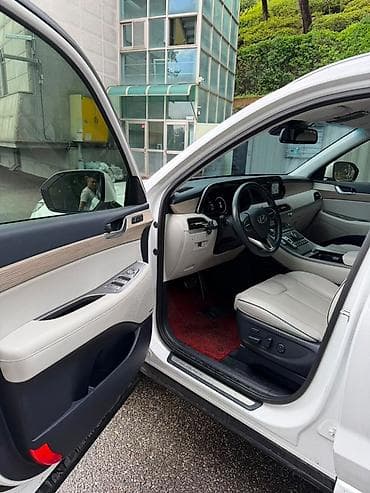 byd leopard: Hyundai Palisade: 2020 г., 2.2 л, Автомат, Дизель, Кроссовер — 10