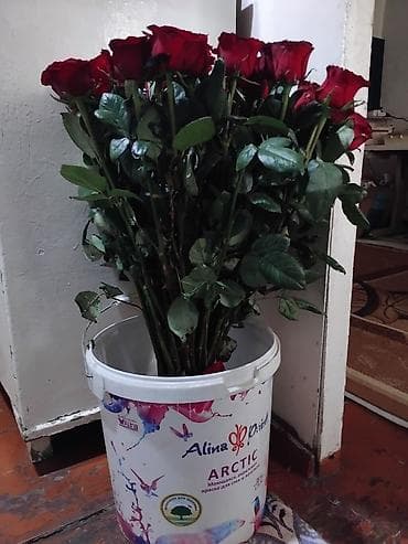 Букет из красных роз - Классические насыщенно‑красные бутоны с at lalafo.kg Букет из красных роз - Классические насыщенно‑красные бутоны с