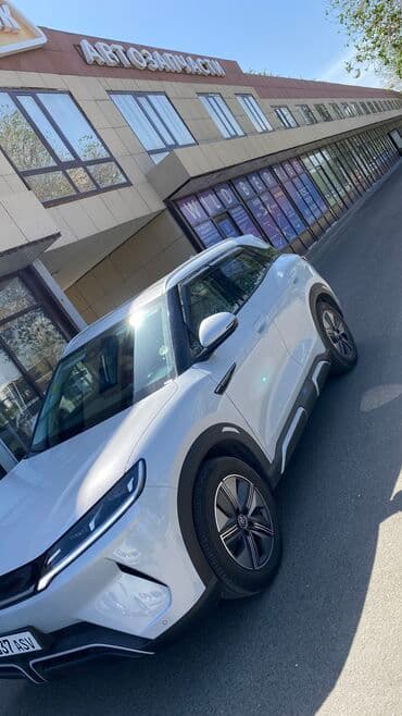 климат контроль на одиссей: Ветровики на окна BYD, 2024 г., Новый, Самовывоз, Платная доставка — 1