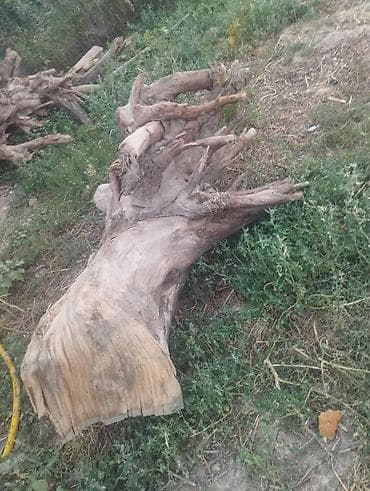 мебил бу: Сатылат баасы 8000 сом кеми бар — 2