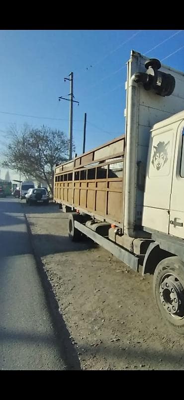 Автокосметика: Кузов бортовой MAN, 2020 г., Оригинал — 3