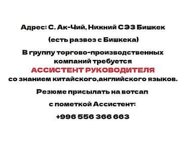 Вакансии: Помощник — 1