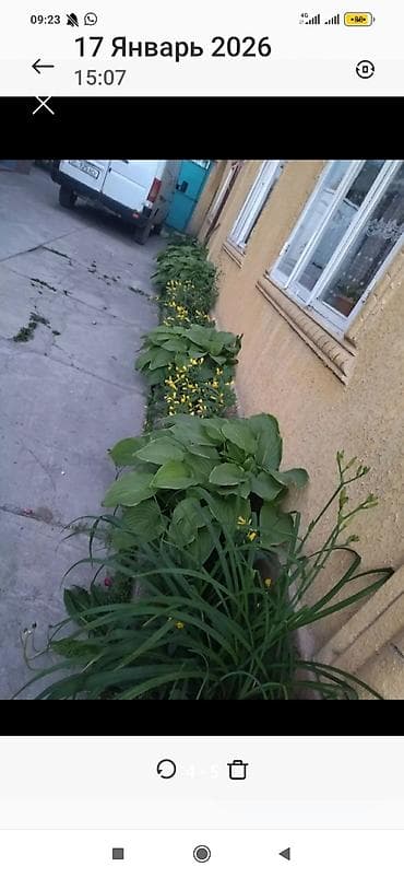 дом мадина: Дом, 120 м², 4 комнаты, Собственник, Евроремонт — 4