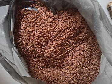 Красный рис, цельнозерновой - Натуральный красный рис с оболочкой