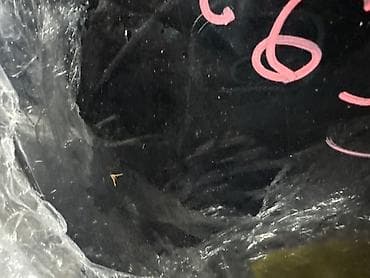 carters original: Капот KIA Carnival YP D4HB 2017 перед. (б/у) — 3