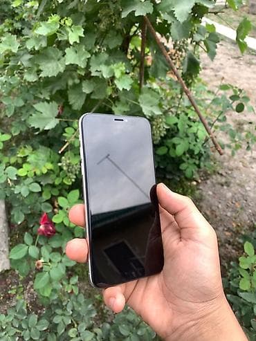 pro m1: IPhone Xs, Серебристый, Защитное стекло — 4