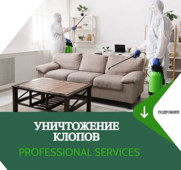 стирка ковров бишкек отзывы: Дезинфекция, дезинсекция, | Клопы, | Квартиры, Дворы, Подъезды — 1