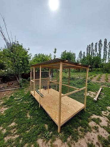 новый аквариум: Другая сетка — 4