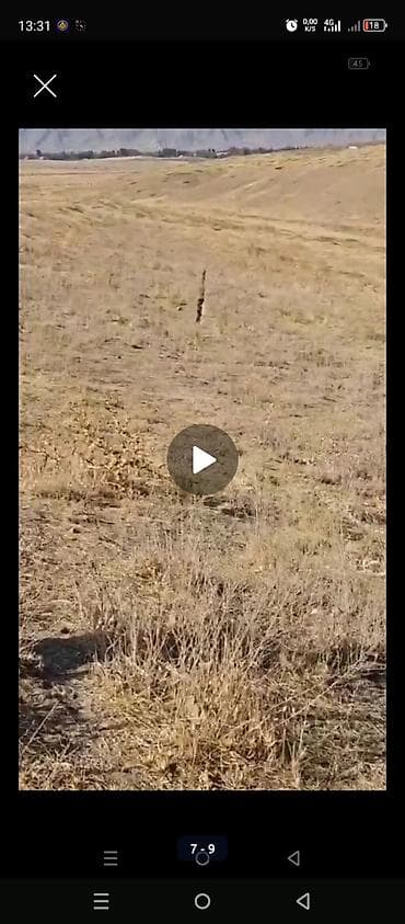 гатовый бизнес бишкек: 6 соток, Для строительства, Красная книга — 2