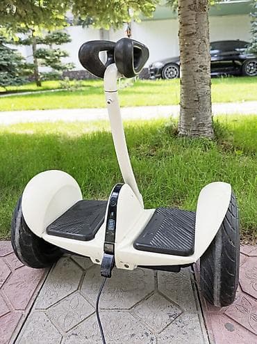 Гироскутер с рулевой стойкой (мини-сигвей) - Два больших колеса с