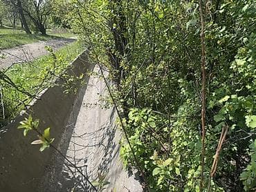 борачный дом: Дом с участком в зелёном садовом массиве - Жилой дом с мансардным — 8