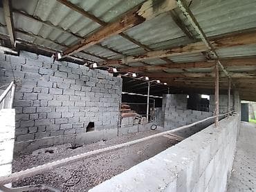 Гаражи: Помещение/площадка под сельхоз/склад в зелёной зоне - Капитальные — 3