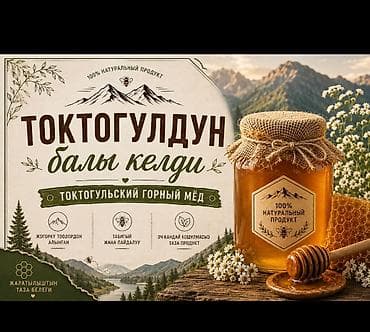 Мёд: Токтогульский горный мёд — 100% натуральный продукт. - Сбор — 1