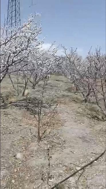 Недвижимость: 100 соток, Для сельского хозяйства — 5