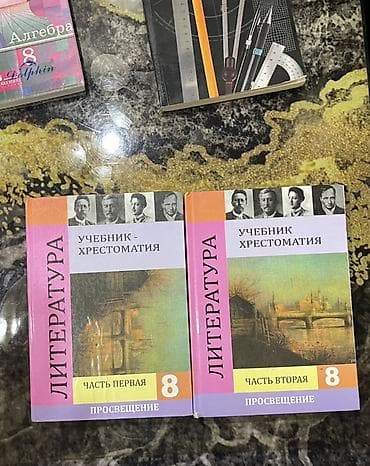 third edition solution: Комплект школьных учебников: - Литература, 8 класс — 3