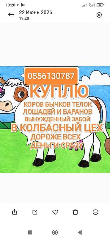 Колбасный цех : Лошади, кони, | На забой, на мясо — 1