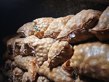 цена железа за 1 кг бишкек: Үрөөндүк картошка сатылат сорт актрис 
2025 келген 5 тонна калды — 2