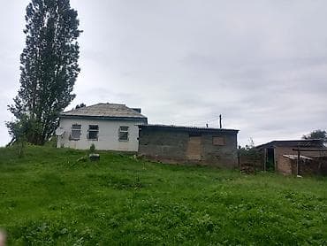 Жилой дом с придомовым участком и хозяйственными постройками. Иссык — 1