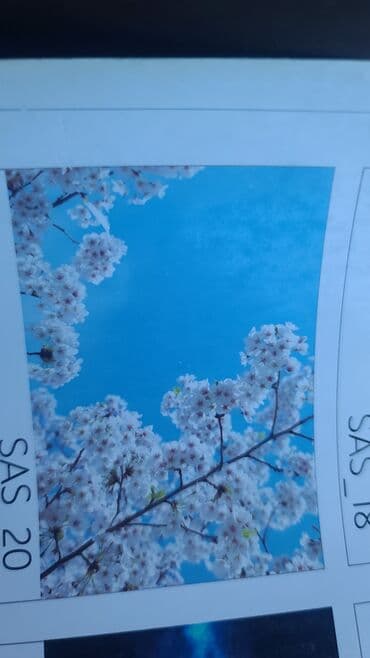 стоимость натяжных потолков: Натяжной потолок 3D потолки Монтаж, Гарантия, Демонтаж — 15