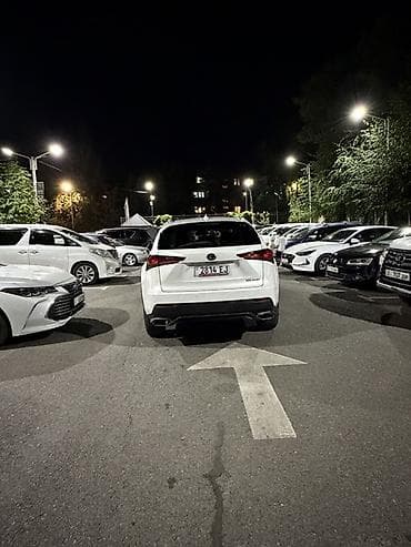 model x: Lexus NX: 2020 г., 2 л, Автомат, Бензин, Кроссовер — 5