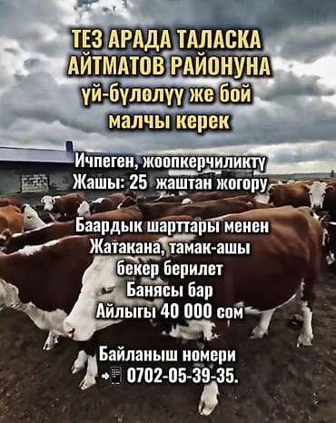 Требуется Скотник, Оплата: Сдельная, Питание