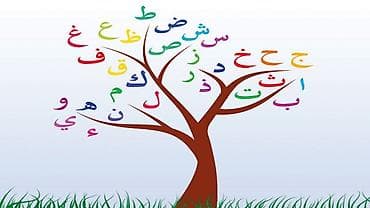 Языковые курсы Арабский Для взрослых at lalafo.kg Языковые курсы Арабский Для взрослых