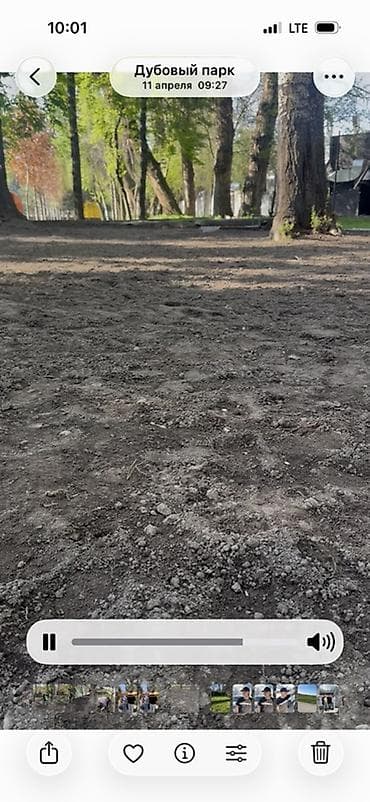 Услуги по благоустройству газонов и цветников - Профессиональная — 1