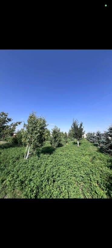 продажа дом бишкек: Дача, 140 м², 4 комнаты, Агентство недвижимости, Евроремонт — 3