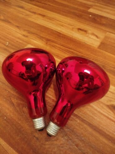 наполнитель для животных: Продаются инфракрасные лампы,идеально подходит для обогрева цыплят,в — 1