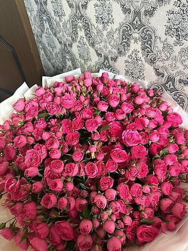 продаю роза: Пышный букет из кустовых роз ярко-розового оттенка.Mono Safyia 50 шт — 4