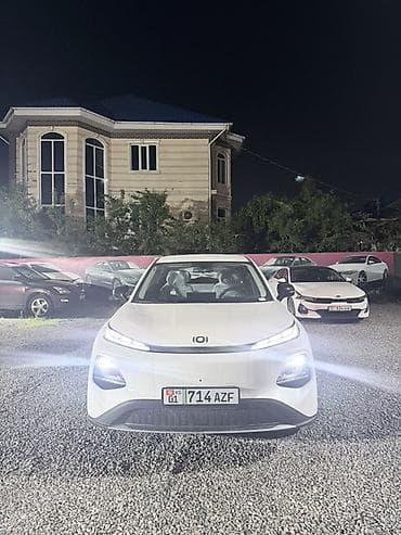 es 2020: BYD : 2026 г., Электромобиль, Кроссовер — 1