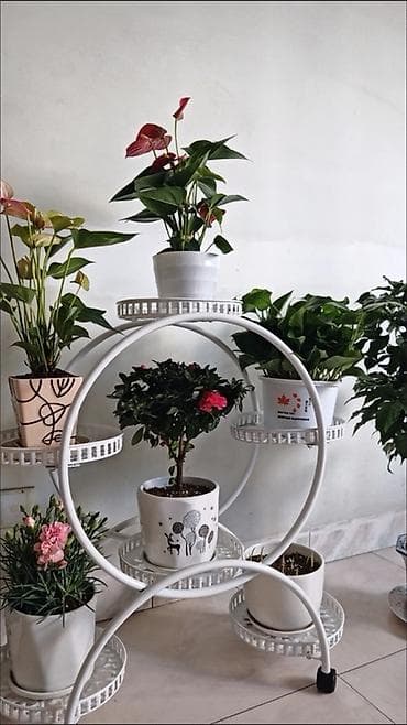 Полка, этажерка для цветов, Железо, Платная доставка