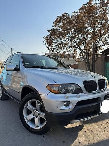 BMW X5: 2005 г., 3 л, Автомат, Бензин, Кроссовер