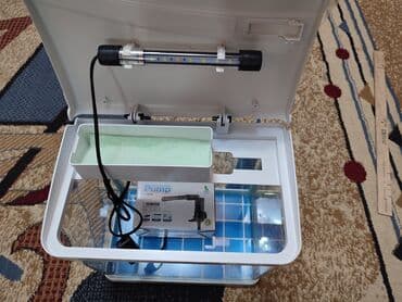 аквариумная рыбка: Аквариум заводской Китай. Новый. Ещё в упаковке. В комплекте — 3