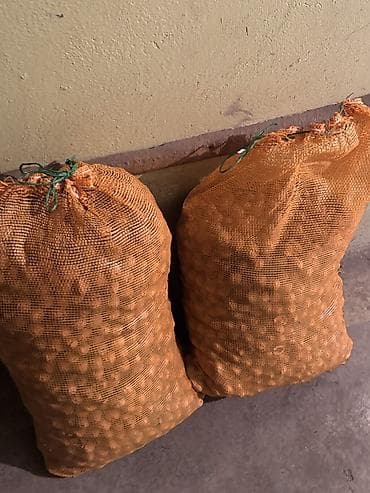 Грецкий орех в скорлупе - тщательно просушенные орехи - Калибр