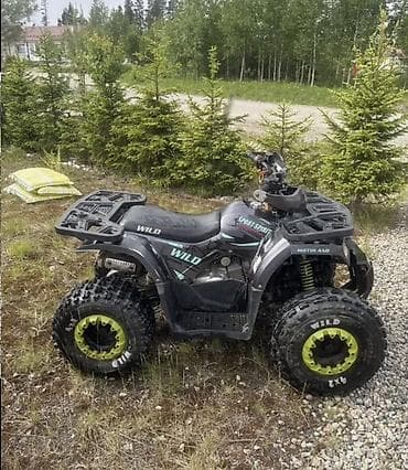 Квадроциклы: Квадроцикл Motoland WILD Sport Spirit - Тип: полноприводный/задний — 4