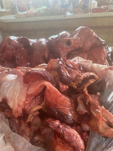 кошачий корм оптом бишкек: Отходы для собак свежие с доставкой — 1