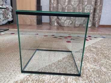 аквариум с крышкой: Новый аквариум со стеклянной крышкой — 4