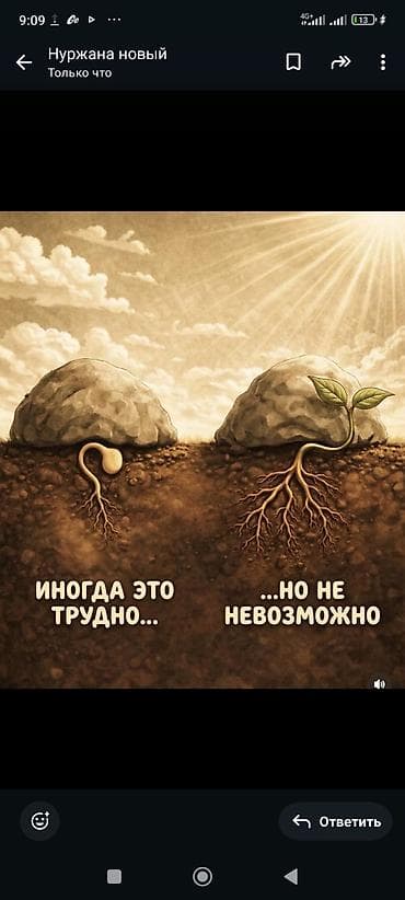 Швея Универсал