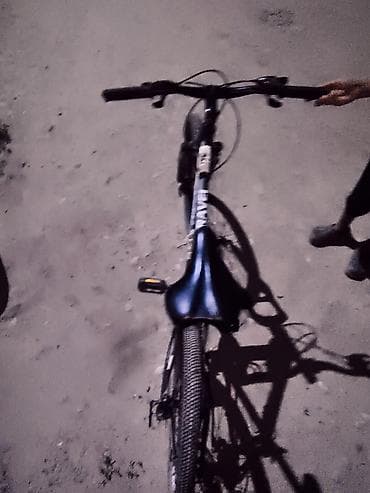 fixed gear: Горный велосипед, Сталь — 3