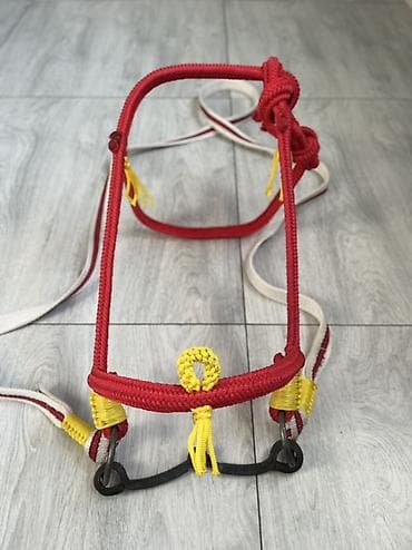 аренда лошадей: Продаю | Жеребец | Конный спорт — 2